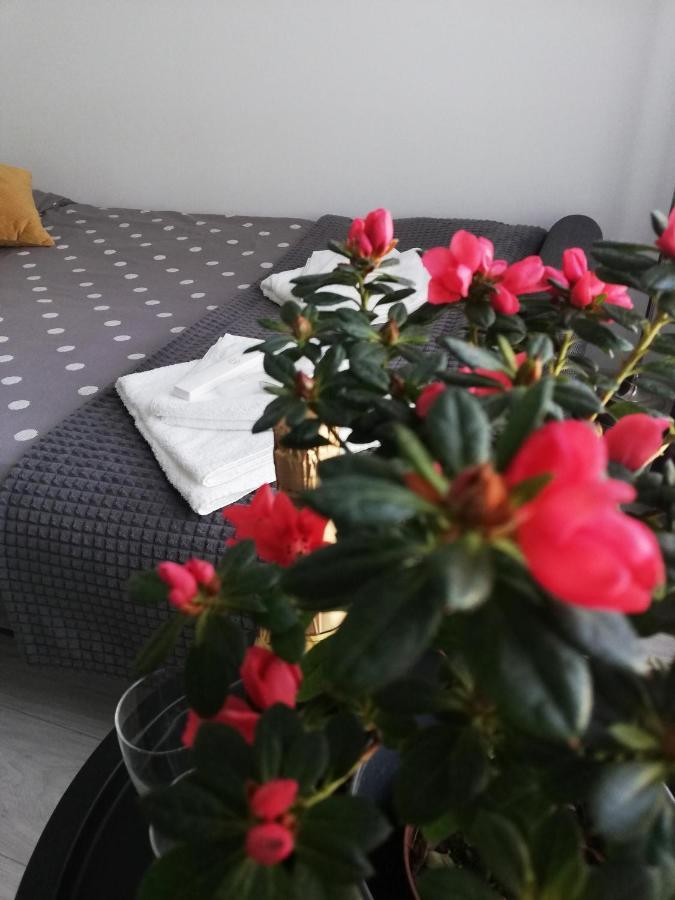 Marlen'S Apartment Bukareszt Zewnętrze zdjęcie